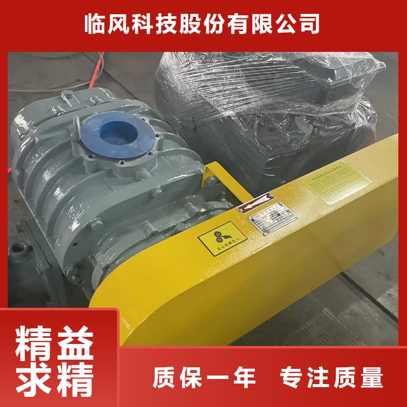2025罗茨鼓风机LFSR125