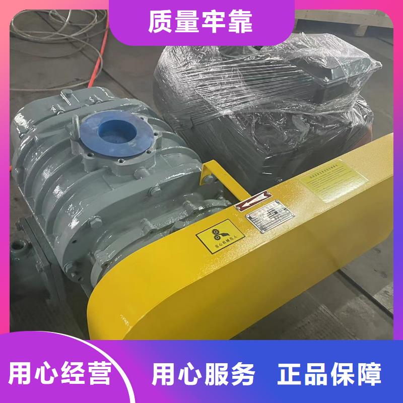 山东临风科技股份有限公司返料风机LFSR250