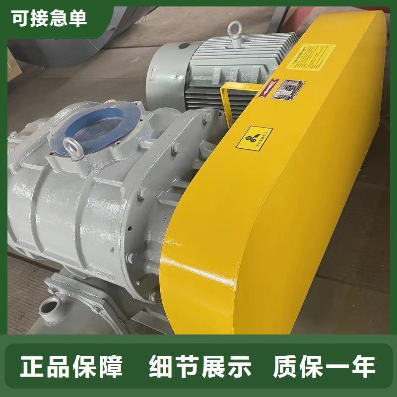 2025两叶罗茨风机LFSR300