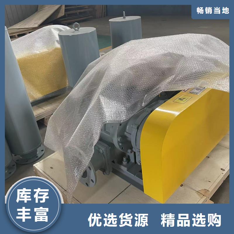 2025洗煤专用罗茨风机LFSR250