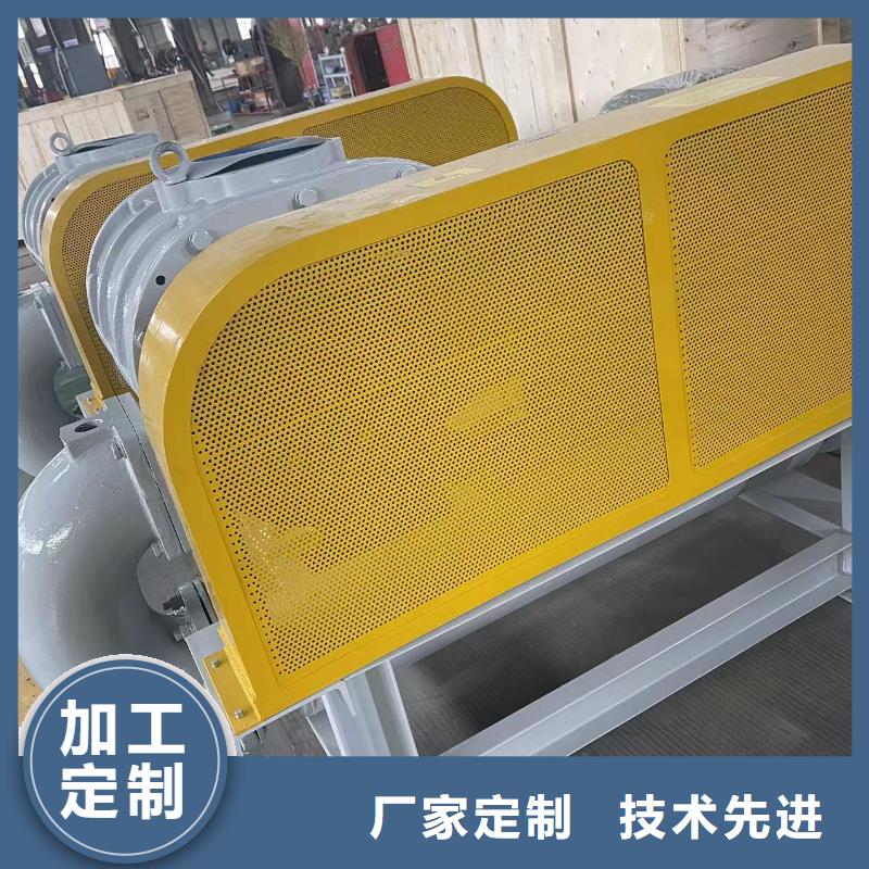 山东临风科技股份有限公司罗茨鼓风机LFSR300