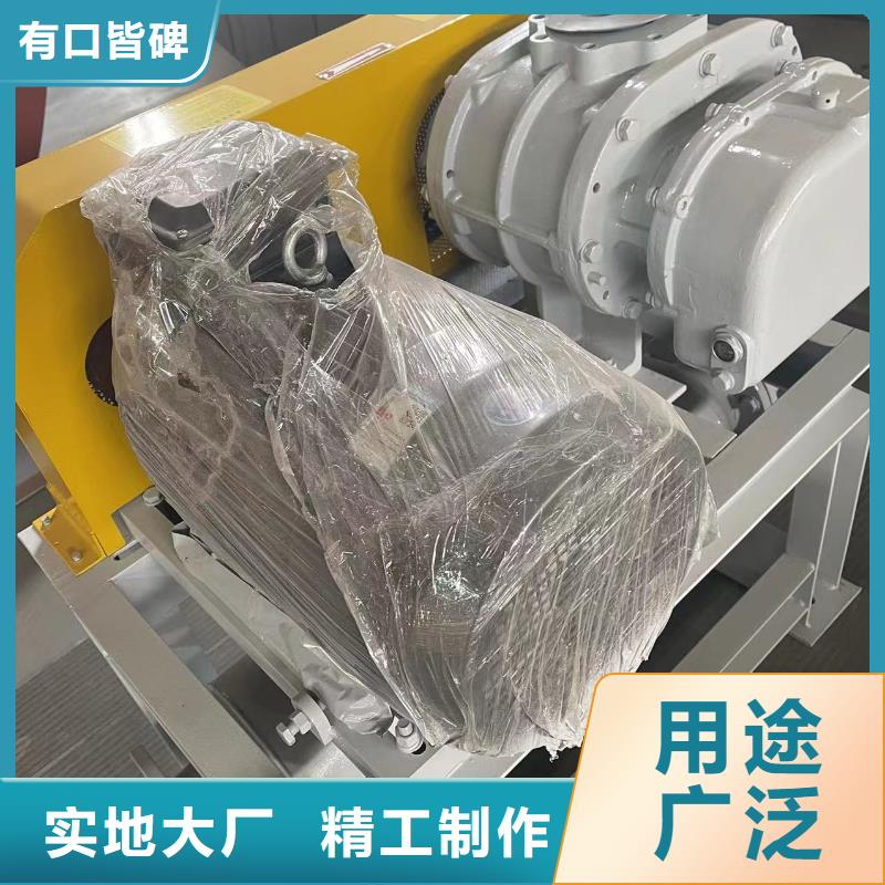 山东临风科技股份有限公司洗煤专用罗茨风机LFSR300