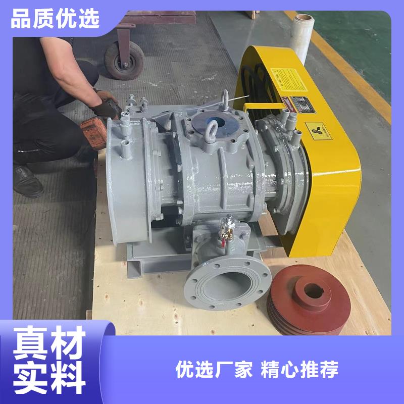 山东临风科技股份三叶罗茨鼓风机LFSR80
