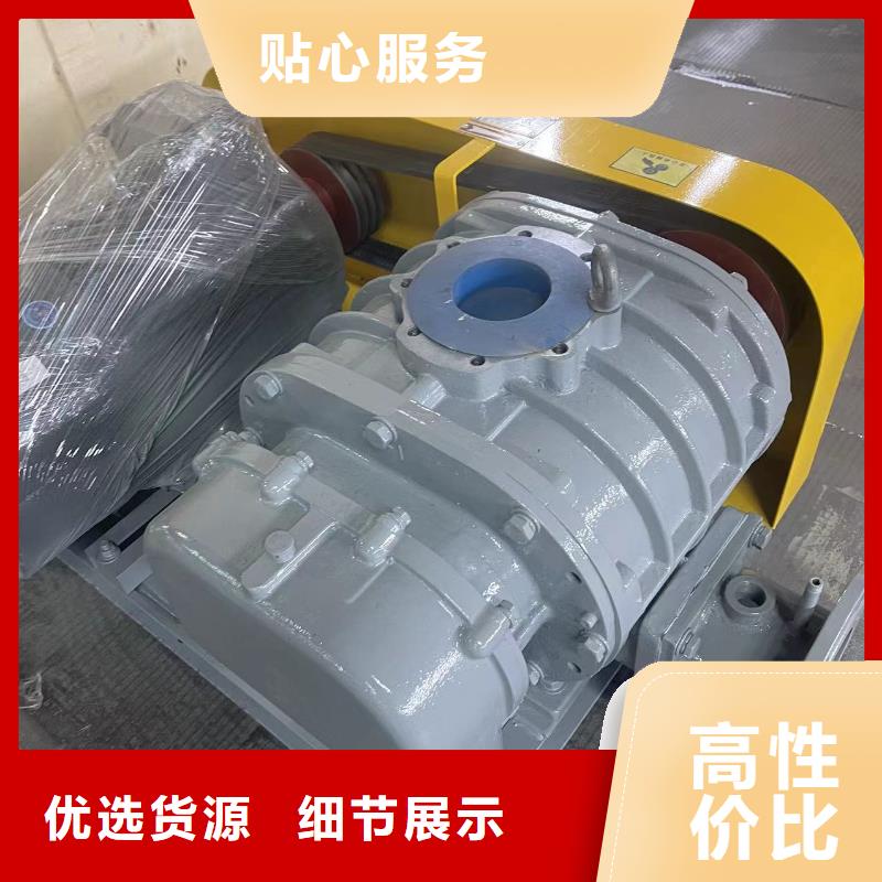 山东临风科技股份洗煤专用罗茨风机LFSR200