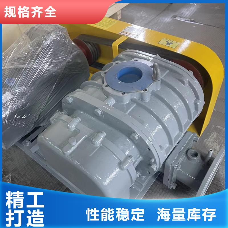 2025两叶罗茨风机LFSR100