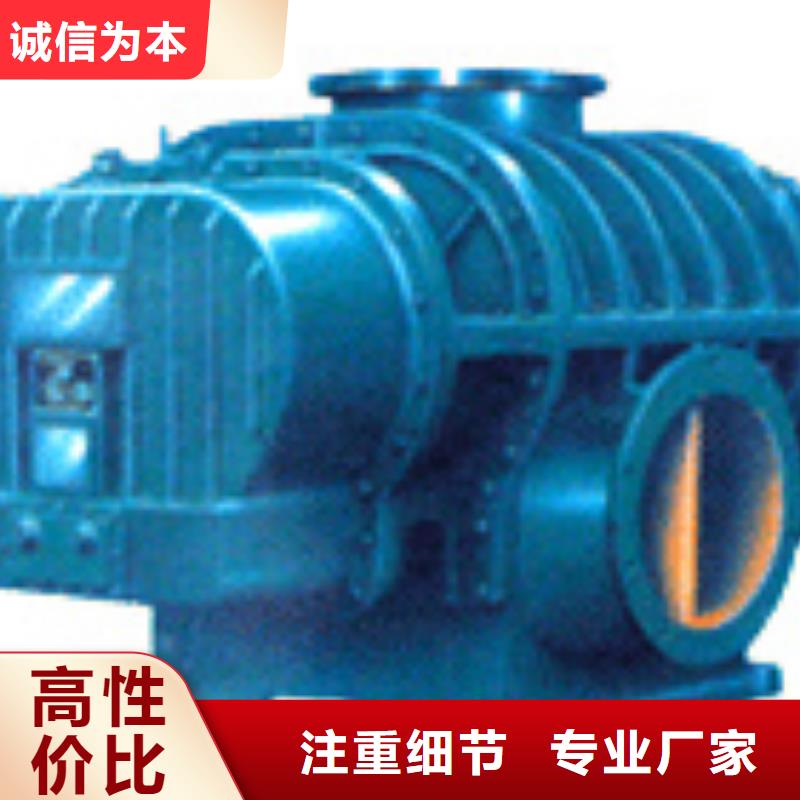 山东临风科技L系列罗茨风机LFSR300