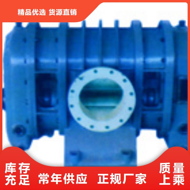 山东临风科技股份有限公司洗煤专用罗茨风机LFSR300