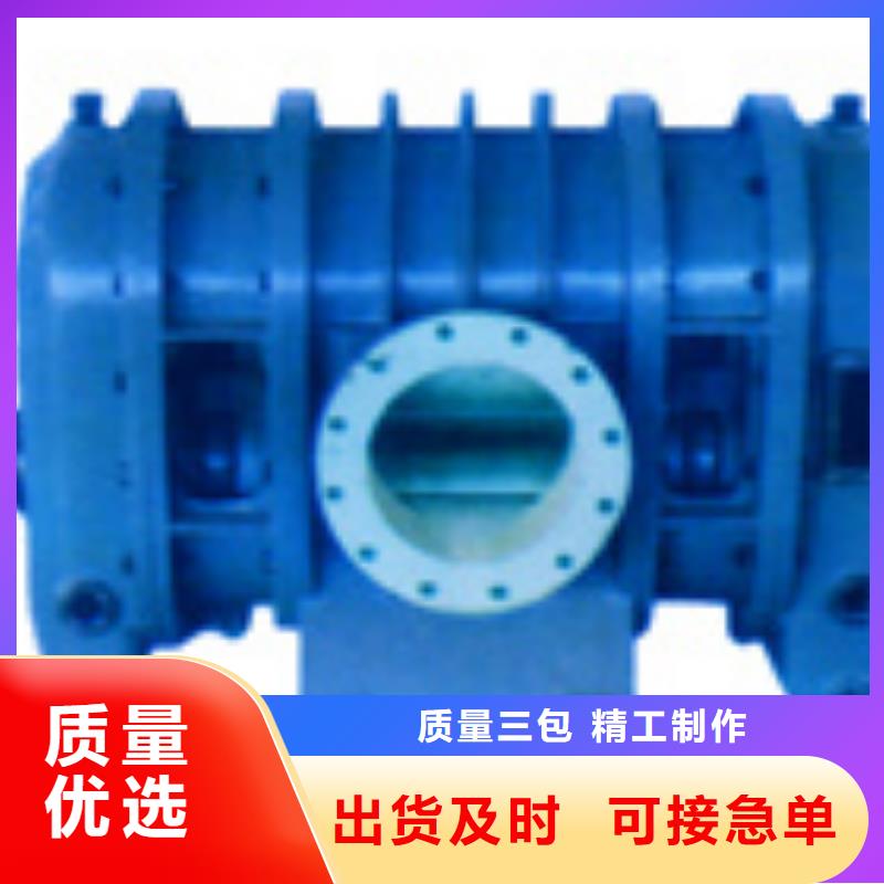 2025洗煤专用罗茨风机LFSR200