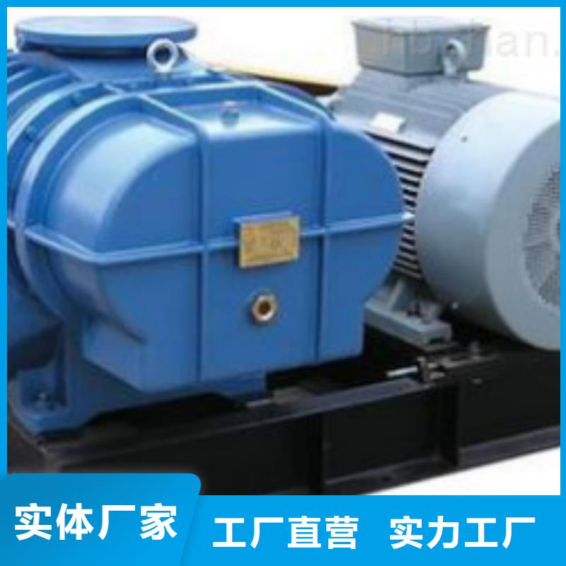 2025两叶罗茨风机LFSR150