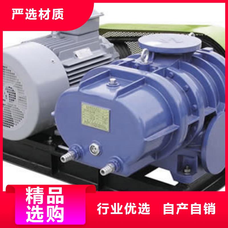 山东临风科技股份三叶罗茨鼓风机LFSR200