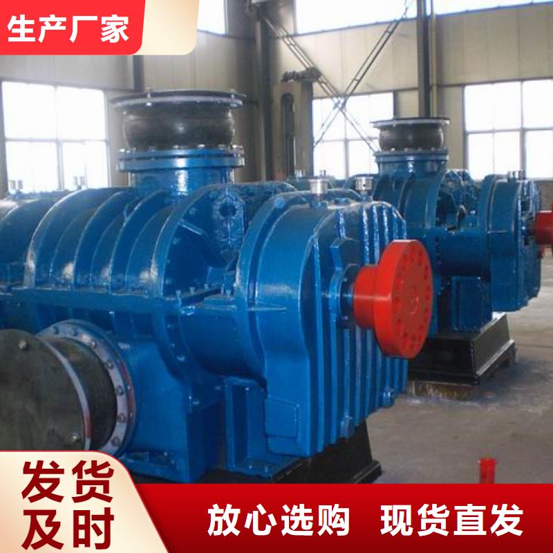 2025罗茨鼓风机LFSR125