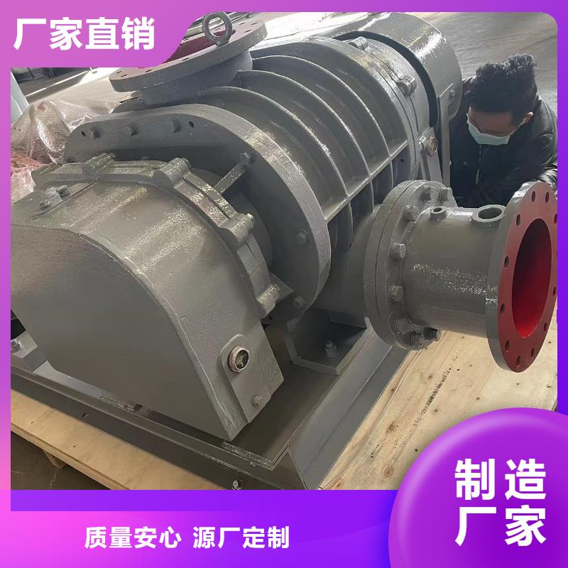 山东临风科技股份有限公司返料风机LFSR100