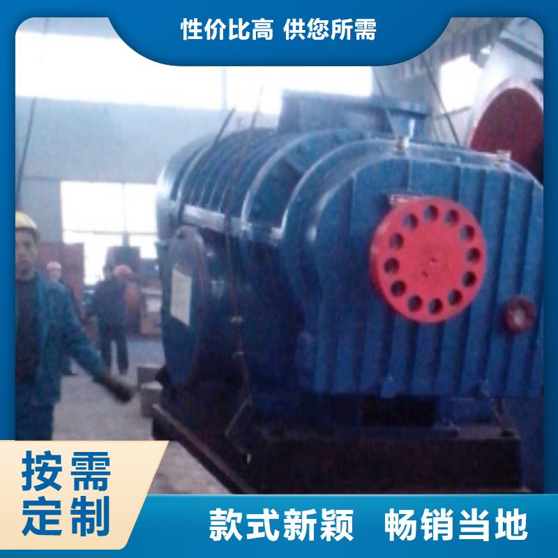 每日两叶罗茨风机LFSR300