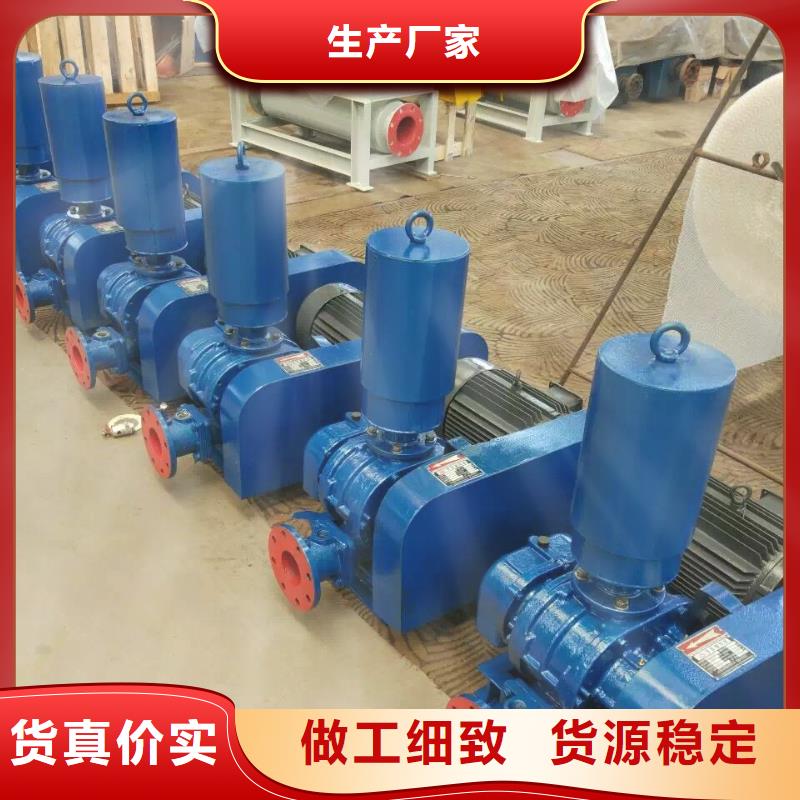 山东临风科技股份有限公司罗茨鼓风机LFSR300