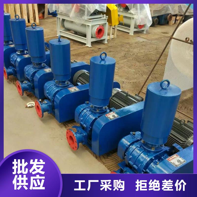 山东临风科技股份有限公司罗茨鼓风机LFSR300