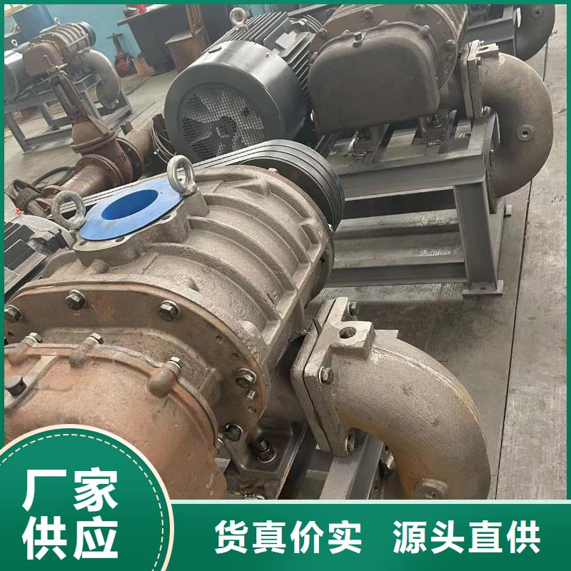 山东临风科技股份洗煤专用罗茨风机LFSR300