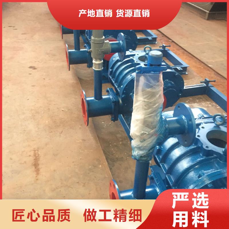 2025罗茨鼓风机LFSR150