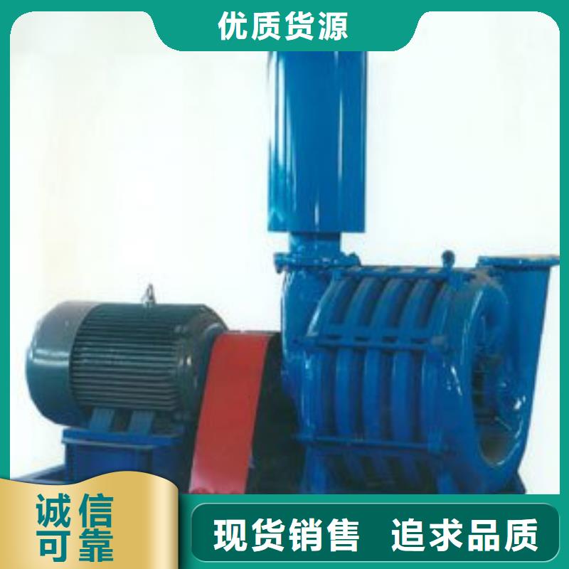 2025罗茨鼓风机LFSR125