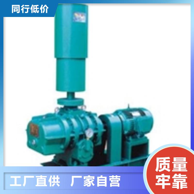 山东临风科技股份有限公司三叶罗茨鼓风机LFSR300
