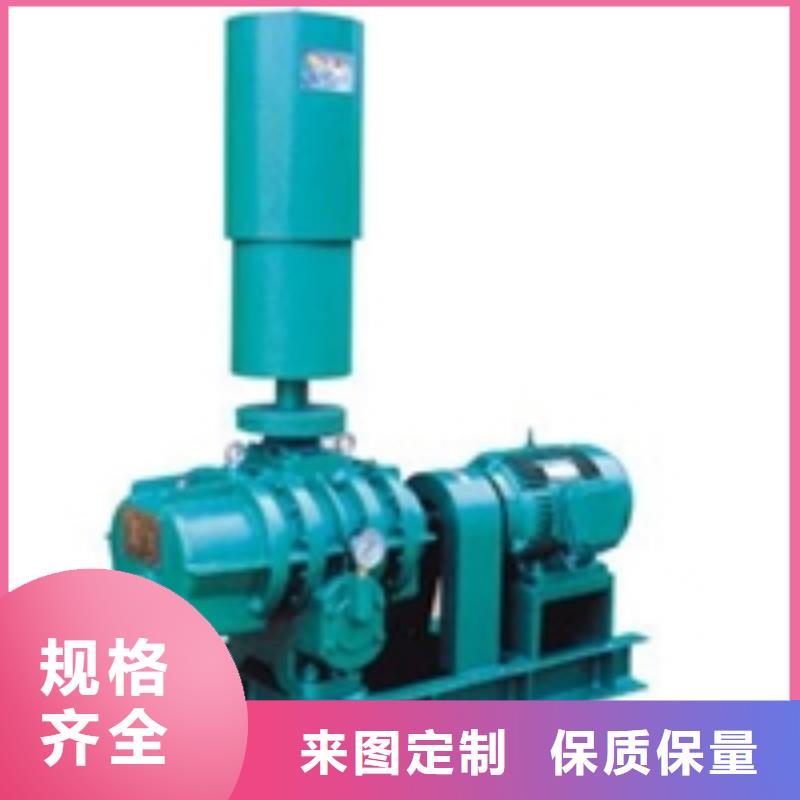 山东临风科技股份有限公司L系列罗茨风机LFSR80