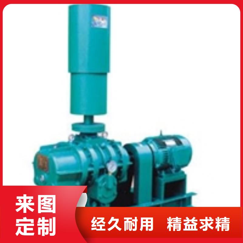 2025洗煤专用罗茨风机LFSR80