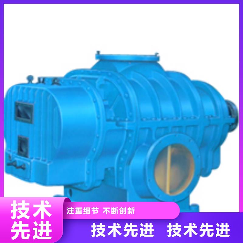 2025两叶罗茨风机LFSR150