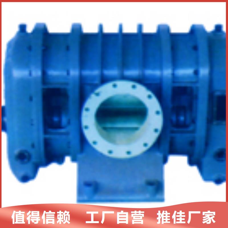每日两叶罗茨风机LFSR300