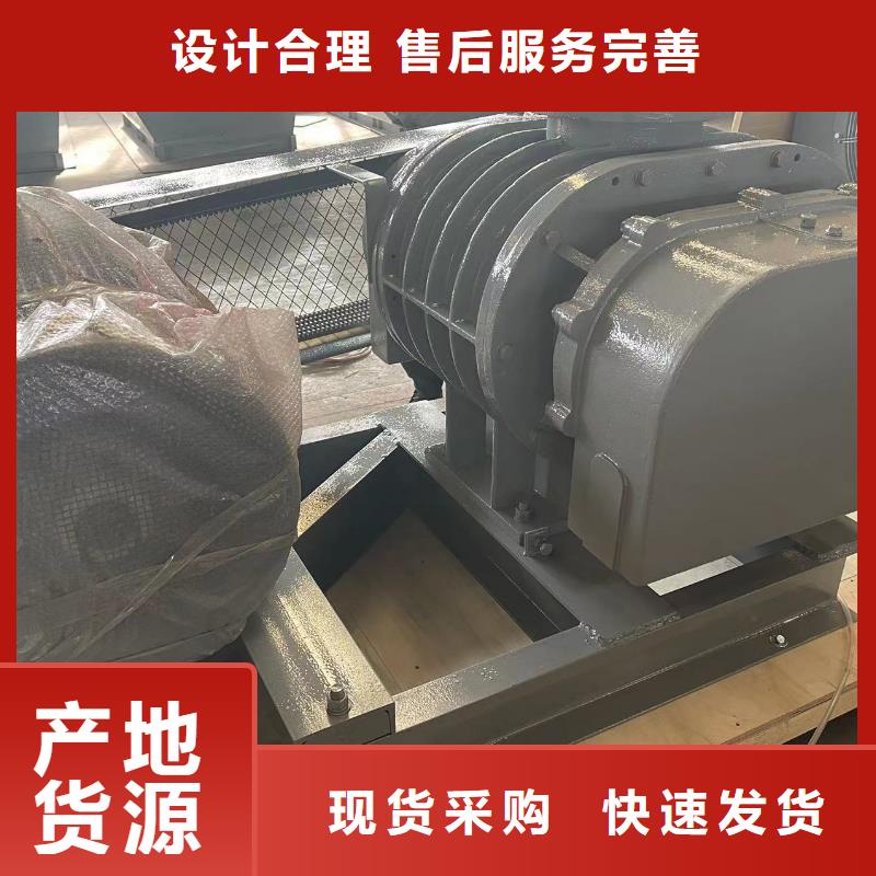 2025洗煤专用罗茨风机LFSR200