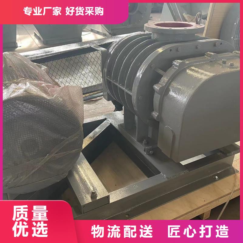 临风股份三叶罗茨鼓风机LFSR200