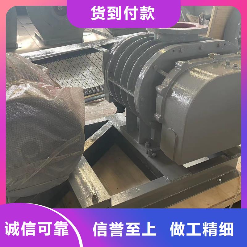 山东临风科技股份两叶罗茨风机LFSR300
