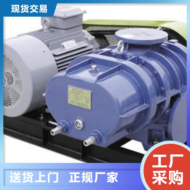 山东临风科技股份有限公司L系列罗茨风机LFSR200