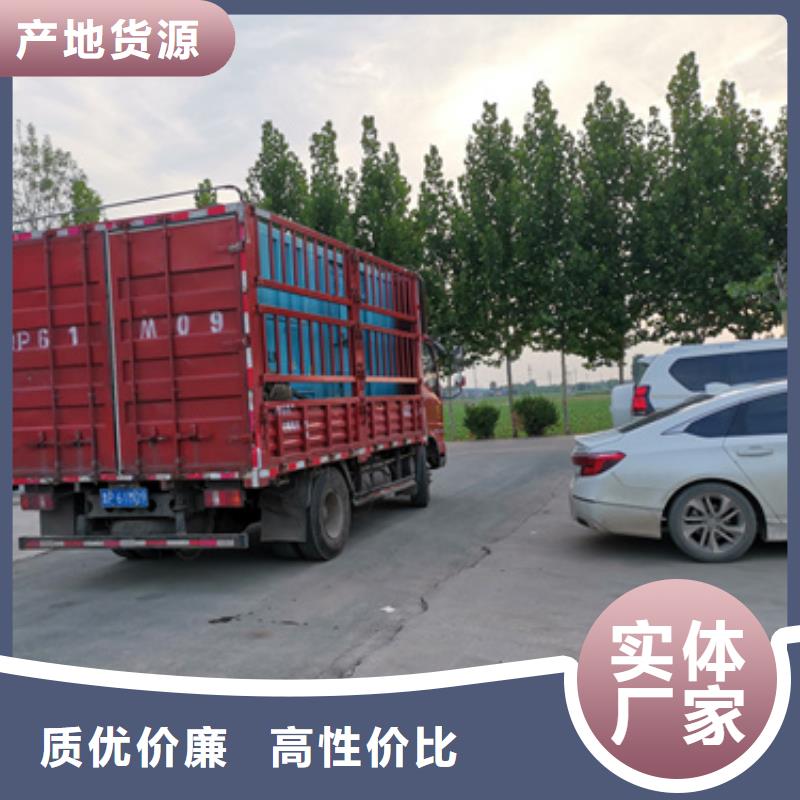 出租10KV发电机含电缆含税含运费