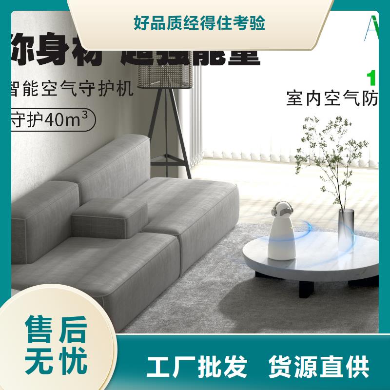空气净化器销售小白祛味王交货准时