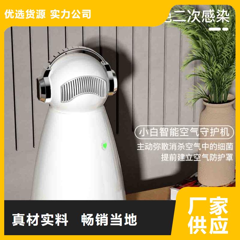 小白孕妇空气守护机-空气净化器企业厂家直销值得选择
