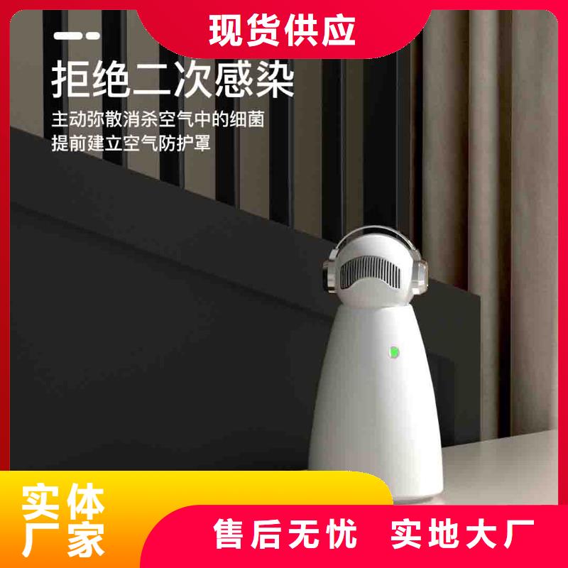 小白孕妇空气守护机智能空气净化器供应价格地道