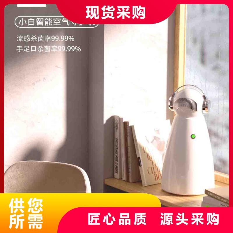 小白婴儿空气守护机车载空气净化器供应产品性能