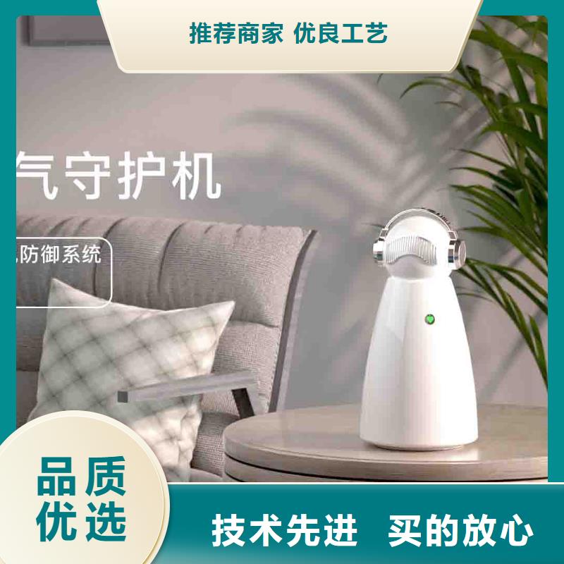 小白空气守护机,【车载空气净化器】一个起售