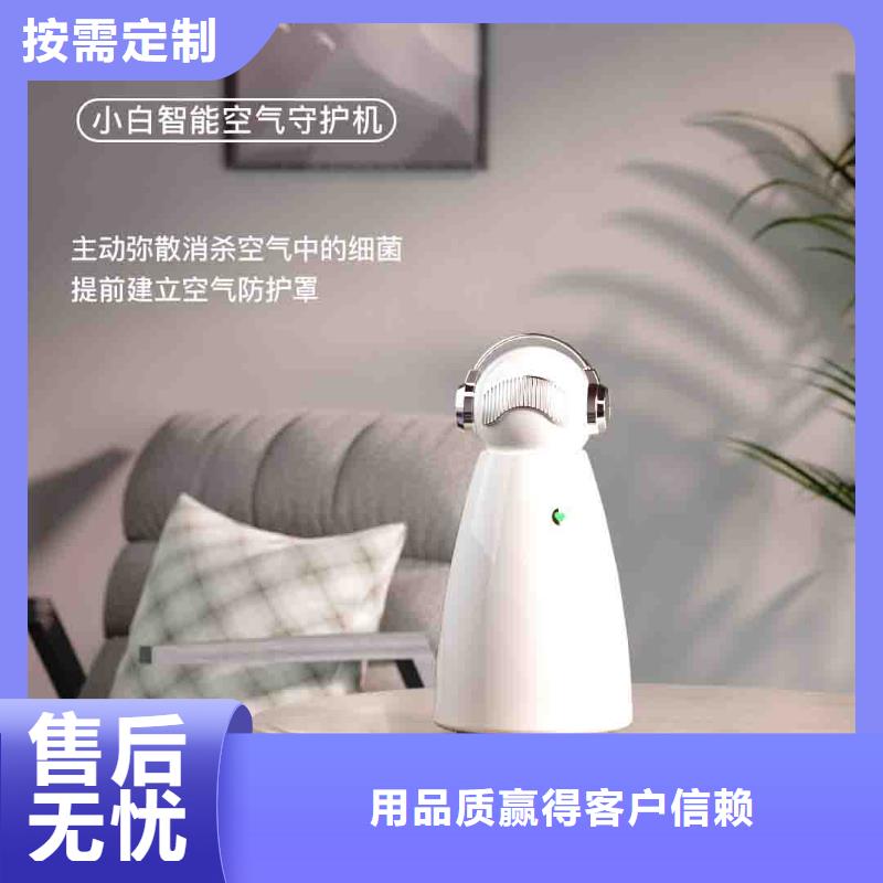 小白空气守护机,【车载空气净化器】一个起售