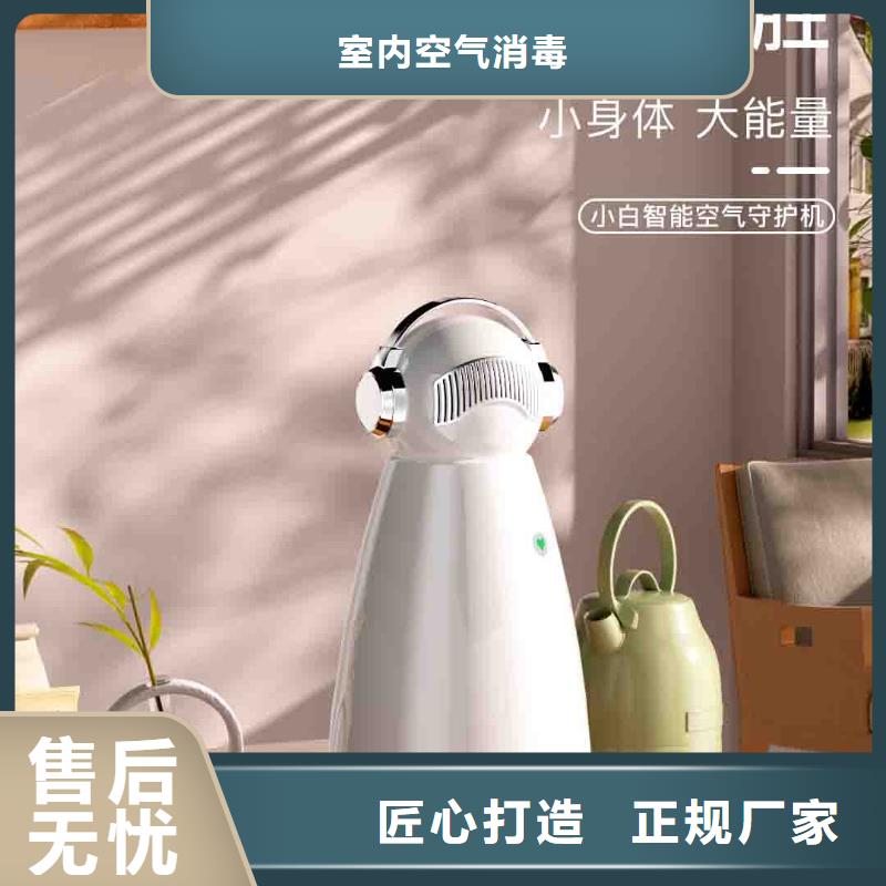 小白空气守护机【批发小白空气守护机器人】厂家直销放心