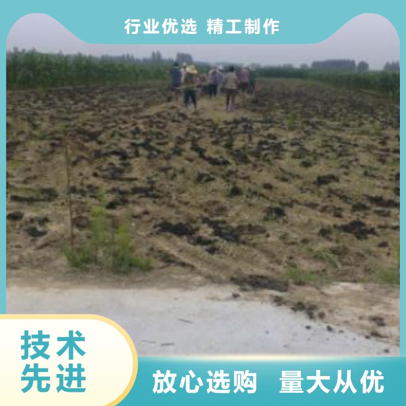 迁安发酵鸡粪详细介绍