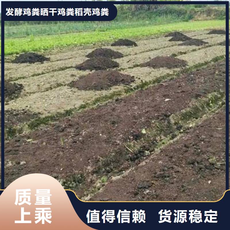 淄博青岛潍坊鸡粪春耕必备农家肥