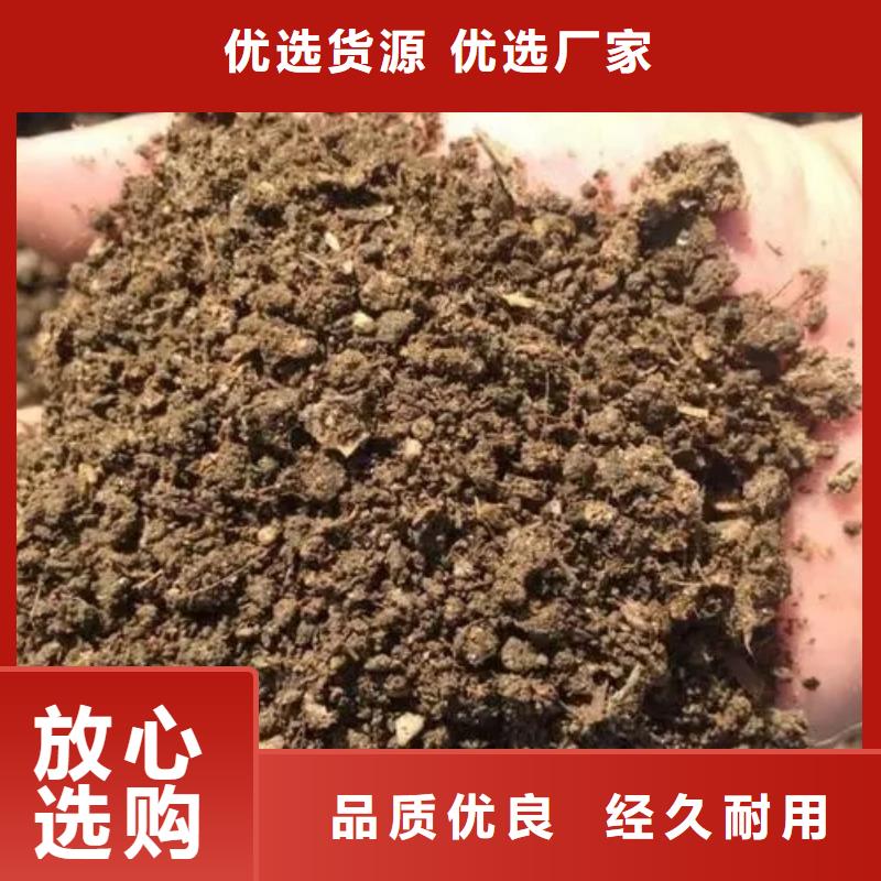 肥水鸡粪何处能买到