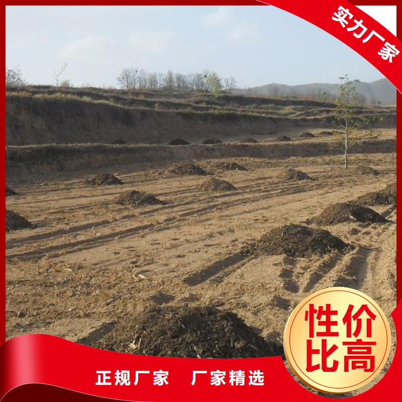发酵羊粪亩用量谁知道