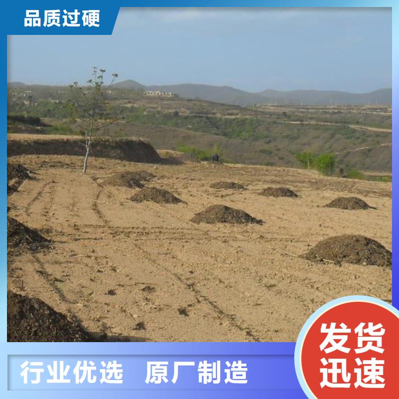 发酵羊粪水果口感