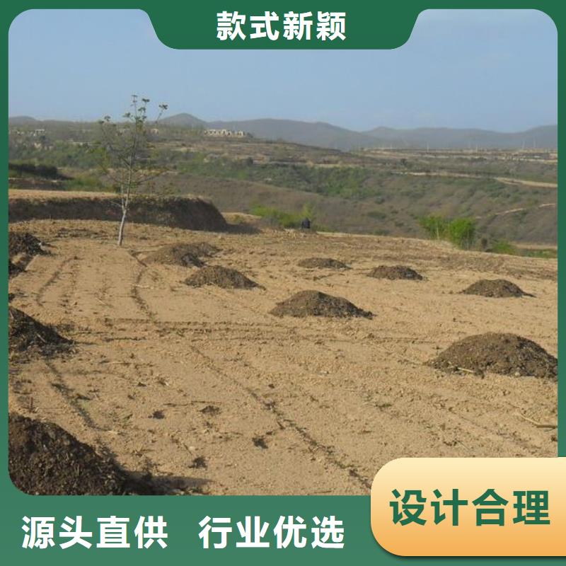 发酵羊粪改良土壤好帮手