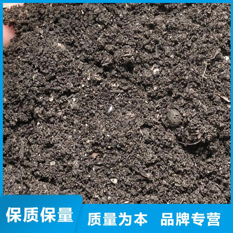青州晒干鸡粪货好