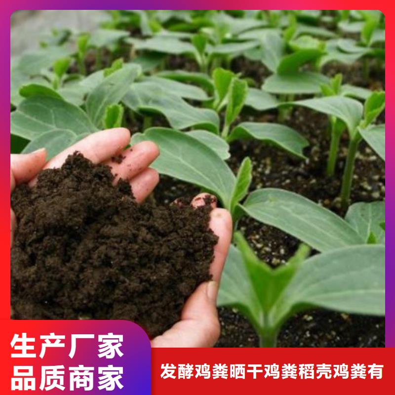 济宁宁阳费县干鸡粪降低生产成本