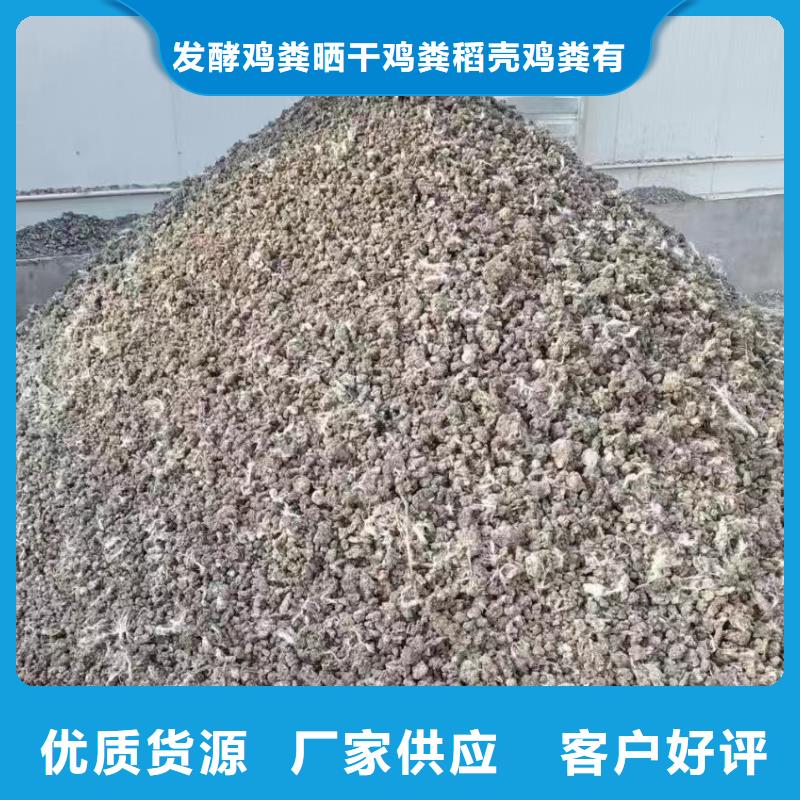 干鸡粪供应商