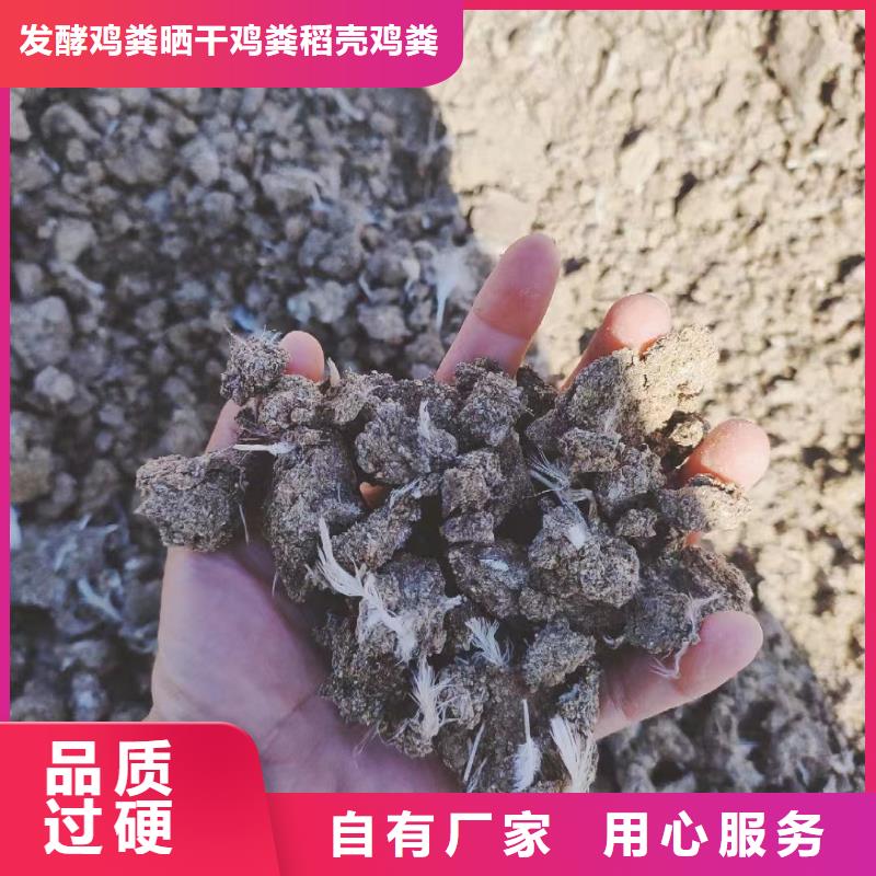 开封商丘聊城干鸡粪好农家肥