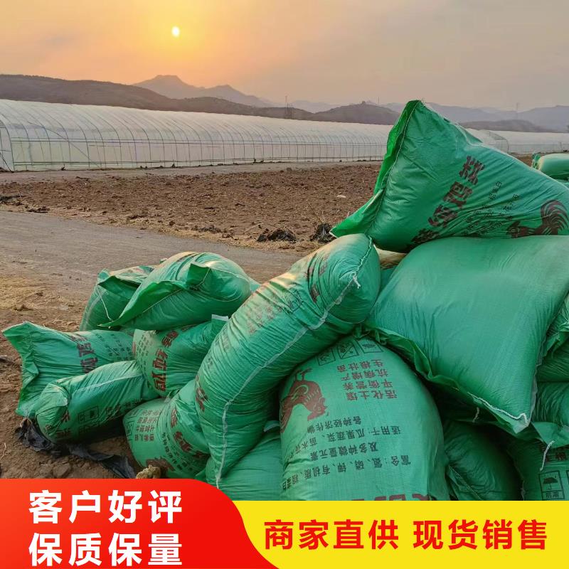 晒干鸡粪改善土壤结构